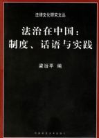 �������й����ƶȻ�����ʵ��