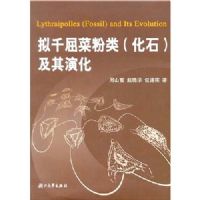 ��ǧ���˷��໯ʯ�����ݻ�(������)