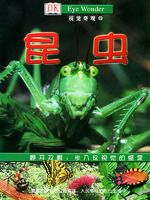 ���桪���Ӿ���ۣ�13��