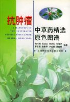 �������в�ҩ��ѡԭɫͼ��