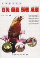 �й��Ĵ����񣺰��� ��ü ���� ���