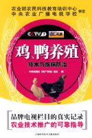 ����Ѽ��ֳ�����뼲������