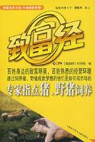 ר��ָ������Ұ������