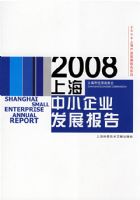 2008�Ϻ���С��ҵ��չ����