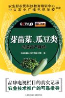 ѿ��ˡ��϶����߲˸߲�����