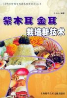 ��ľ����������¼���