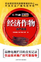 ��������߲�����