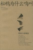 ��ѻΪʲô���У���Ӧ�ɻ�С˵��ѡ