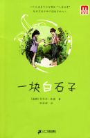 ����������ѧ�� һ���ʯ��