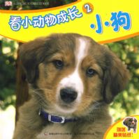 ��С����ɳ�2��С��