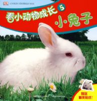 ��С����ɳ�5��С����