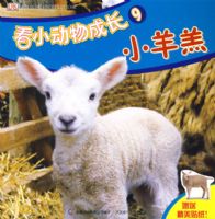 ��С����ɳ�9��С���