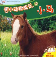 ��С����ɳ�10��С��