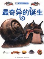 DK����ģ��͸��2��������ĵ���