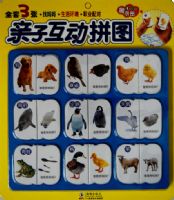 ���ӻ���ƴͼ�������� ����� ְҵ���