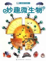 DK����ģ��͸��4����Ȥ΢����