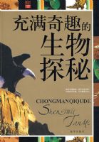 ������Ȥ������̽��