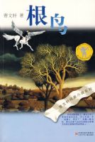 ����������С˵������