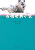 ���ٶ���С˵