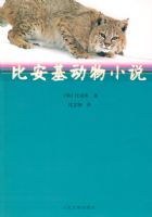 �Ȱ�������С˵