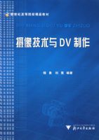 ��������DV����