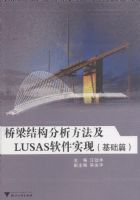 �����ṹ����������LUSAS����ʵ��(����ƪ)