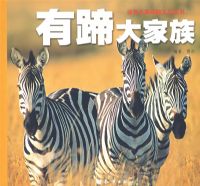 ��������̽��ϵ�д���D�D��������