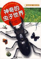 ����ĳ�������