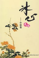 ������ѡ-С˵��