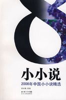 2008���й�СС˵��ѡ