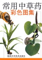 �����в�ҩ��ɫͼ��