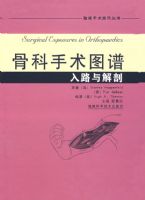 �ǿ�����ͼ�ס�����·�����