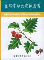 �����в�ҩ��ɫͼ��