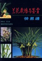 ������������Ϳ���ͨ