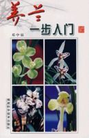 ����һ������