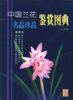 �й�������Ʒ��Ʒ����ͼ��