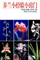 ����С����С����