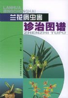 �������溦����ͼ��