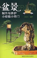 �辰����������С����С����