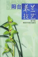 ��̨��������