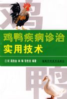 ��Ѽ��������ʵ�ü���