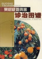 �������Ѳ�������ͼ��