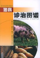 ��������ͼ��