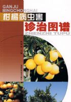 �̽۲��溦����ͼ��