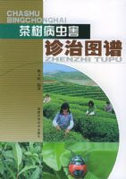 �������溦����ͼ��