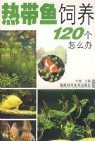 �ȴ�������120����ô��