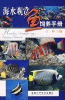 ��ˮ�����������ֲ�