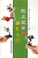 ָ���辰��������