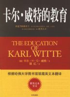 ���������صĽ�������Ӣ�ı�ȫ�룩