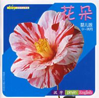 yesϵ�С������䣨ע���棩